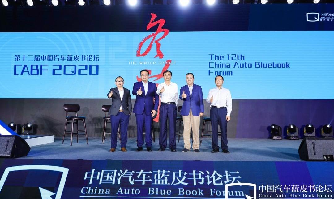 Jianghuai, Tesla, Volkswagen, Weilai, Dongfeng