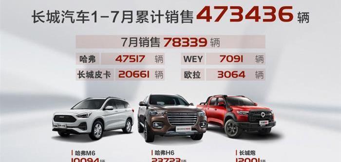 Haval, Great Wall, Euler, Haval M6, Haval H6