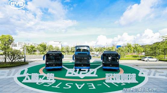 BYD, Hyundai
