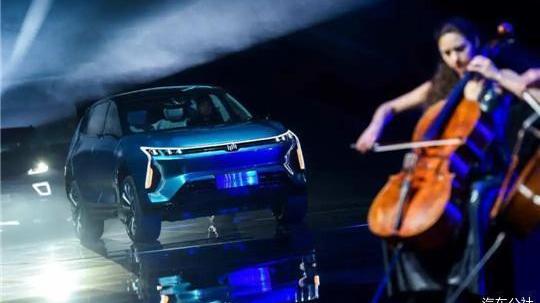 Tucki, Weimar Automobile, Weilai, Tesla, Beijing