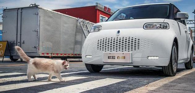 Ford, Li ONE, Euler, Tesla, Geely Automobile