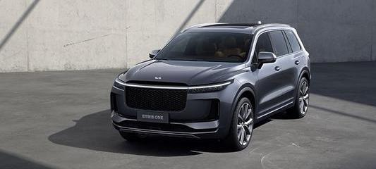 roewe, Tesla, DS, LI, BMW