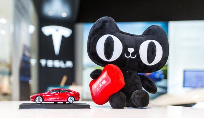 weilai, Tesla, Model 3,Model Y, Tucki