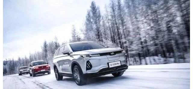 理念,威马汽车,合创,特斯拉,蔚来