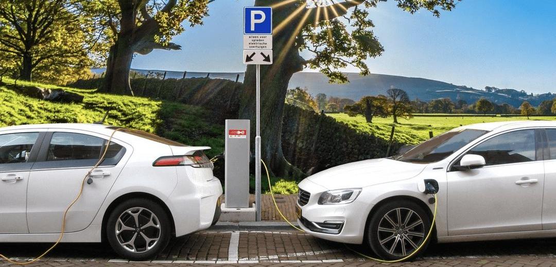 Century, Tesla, Volkswagen, BMW and Toyota