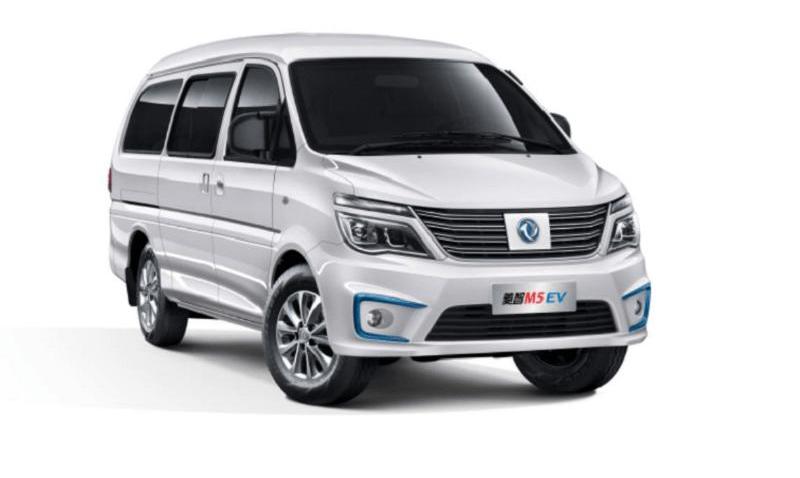 Lingzhi, Dongfeng is popular, Dongfeng