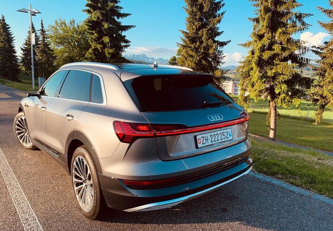 Audi, Tesla, BMW, Mercedes-Benz, Porsche