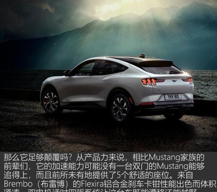 Ford, Tesla, Mustang, Model Y