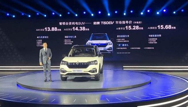 Tesla, Zotye, Peugeot, Audi, Model Y
