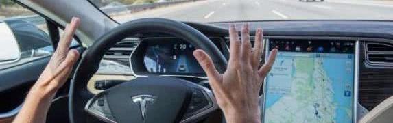 faw, Peugeot, great wall, Tesla, Citroen