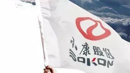 东风,大众,北京,东风小康,特斯拉