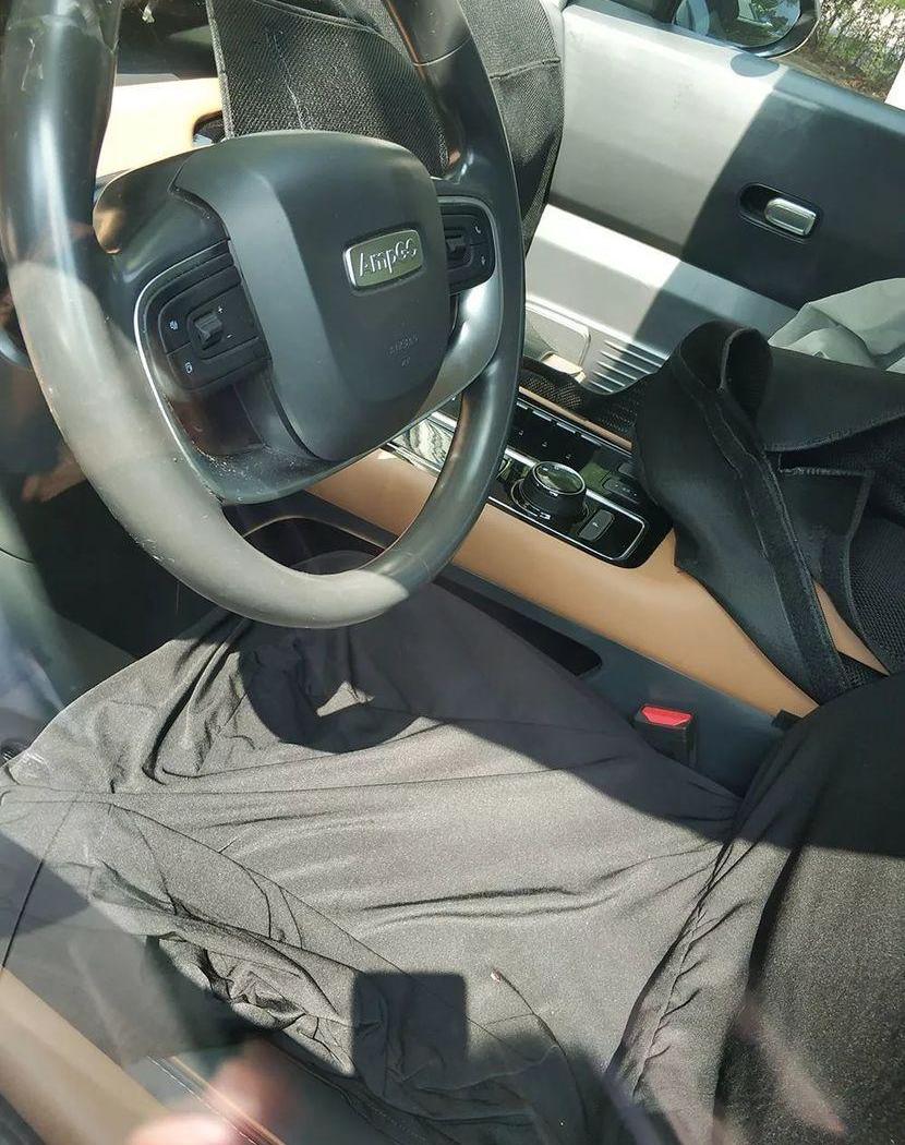 Chery, Tesla, Kia, Hongqi, BMW