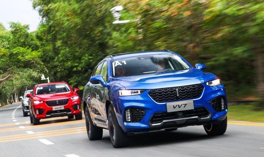 Weilai, BMW, Mercedes-Benz, Hechuang, Great Wall
