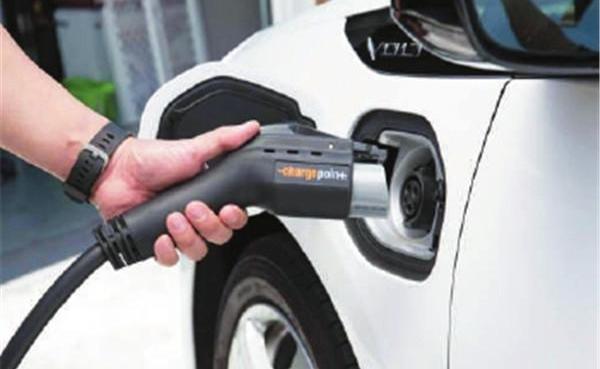 Toyota, Hyundai, Tesla, southeast
