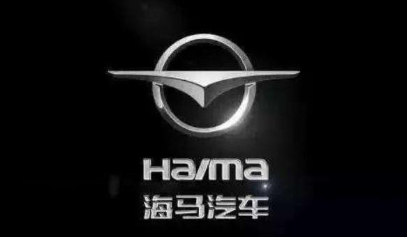hippocampus, discovery, future