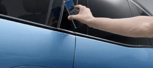 Remote, Tesla, Tucki, BYD, Model 3