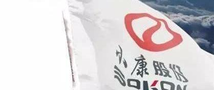 Dongfeng, Dongfeng Xiaokang