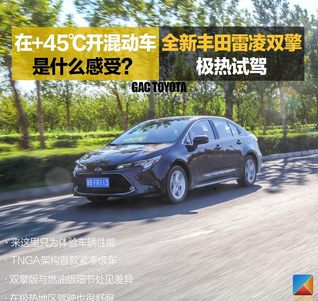 Lei Ling, Toyota, Camry, Idea, Asian Dragon