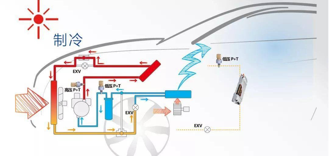 BMW, BYD, Volkswagen, Great Wall, Tesla