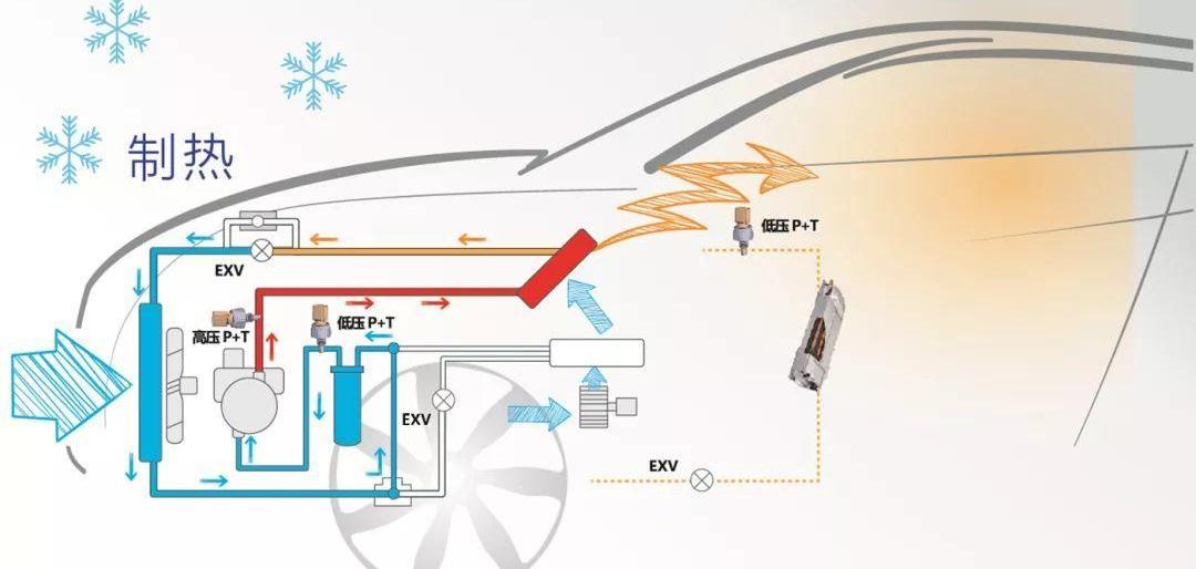 BMW, BYD, Volkswagen, Great Wall, Tesla