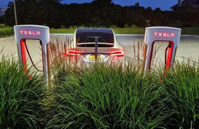 Tesla, Model S,Model Y, Audi, Volkswagen