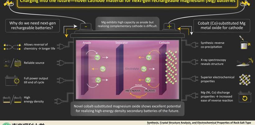 Tesla, Porsche, Bentley, Tim Yue, Volkswagen