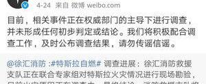 Tesla, Weilai, BYD, Roewe, Chang 'an