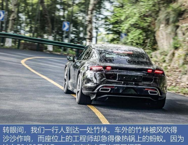 保时捷,Taycan,理念,大众,东南