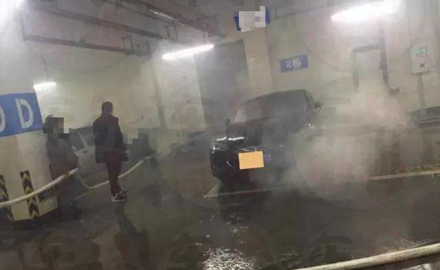 Tesla, Model S, BMW, Audi, Lexus