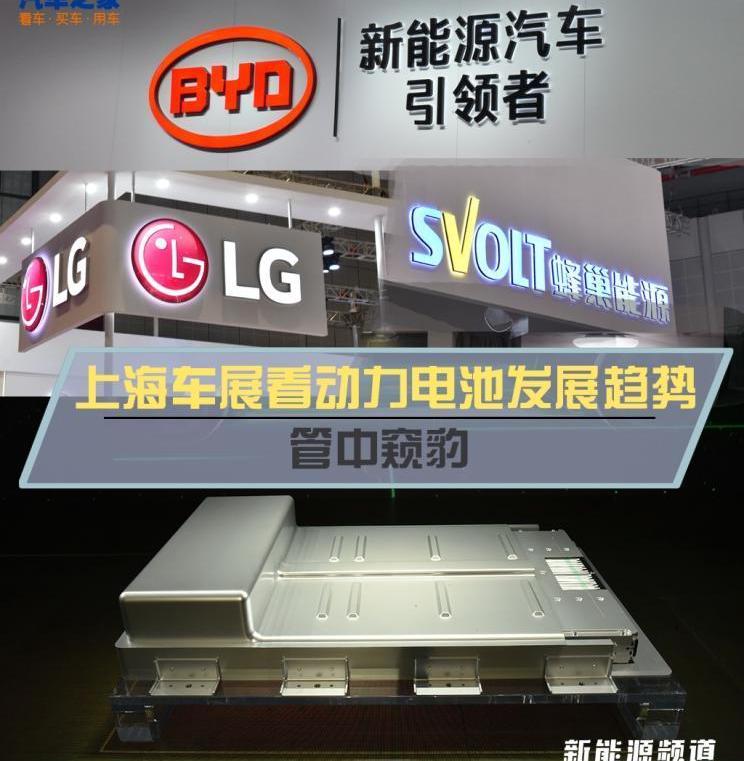 Great Wall, BMW, Nissan, Tesla