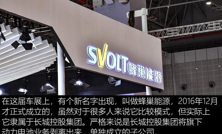 Great Wall, BMW, Nissan, Tesla