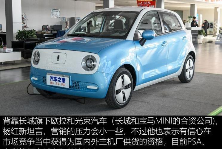 Great Wall, BMW, Nissan, Tesla