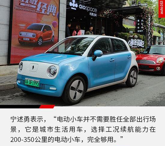 Euler, Great Wall, MINI, century, concept