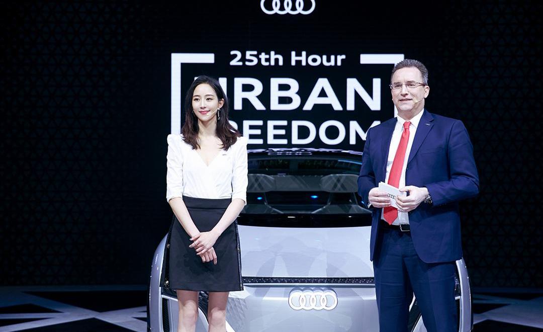 Audi, Audi Q2L, concept