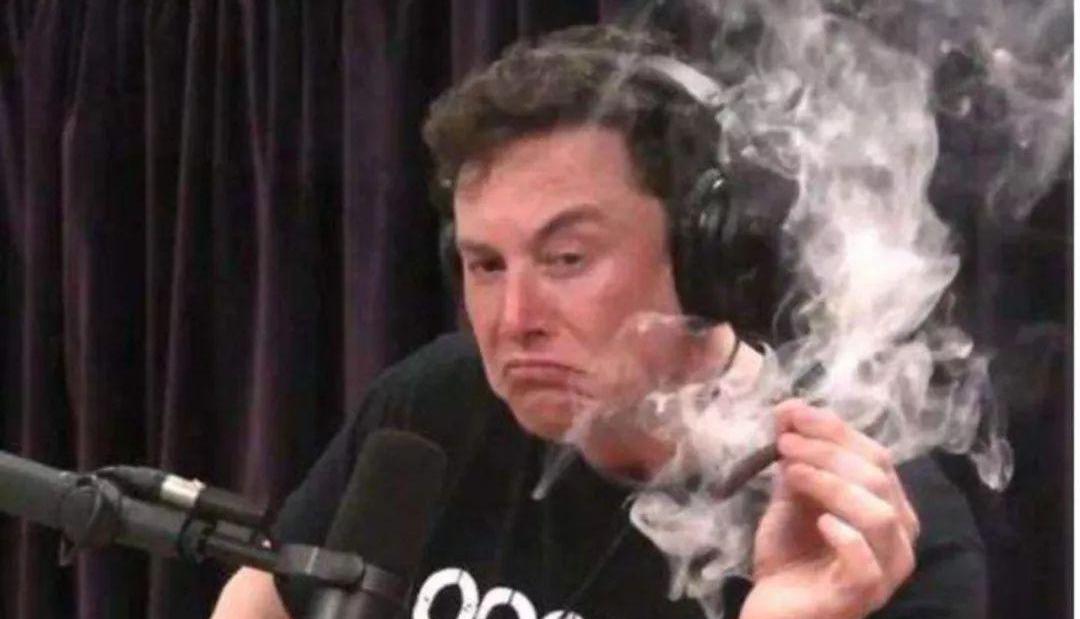 蔚来,小鹏,特斯拉,威马汽车,爱驰