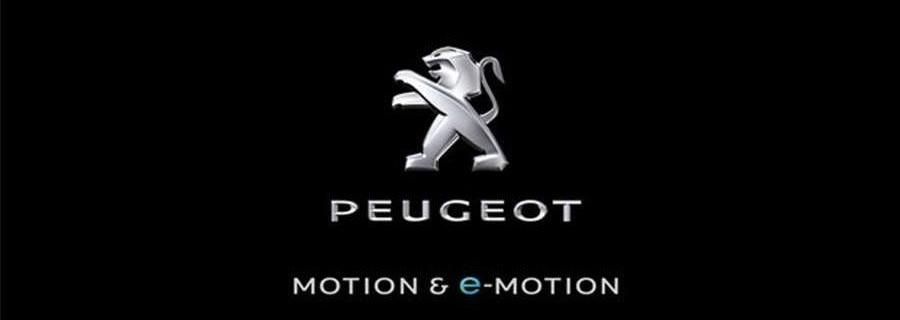 Aichi, Jiangling, Tesla, Peugeot, Great Wall