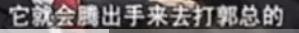 Tesla, Ford, Beijing, Toyota, Hyundai