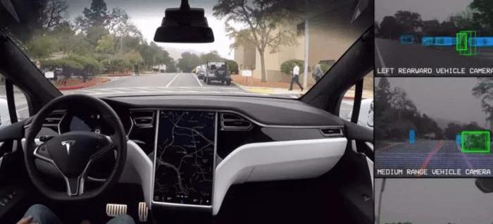 Tesla, BMW, Zebra