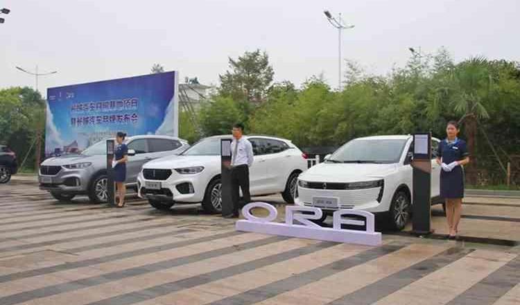 Great Wall, Euler, Haval