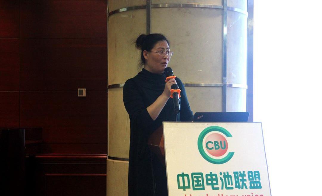 Beijing, Camel, BYD, Dongfeng and Geely Automobile