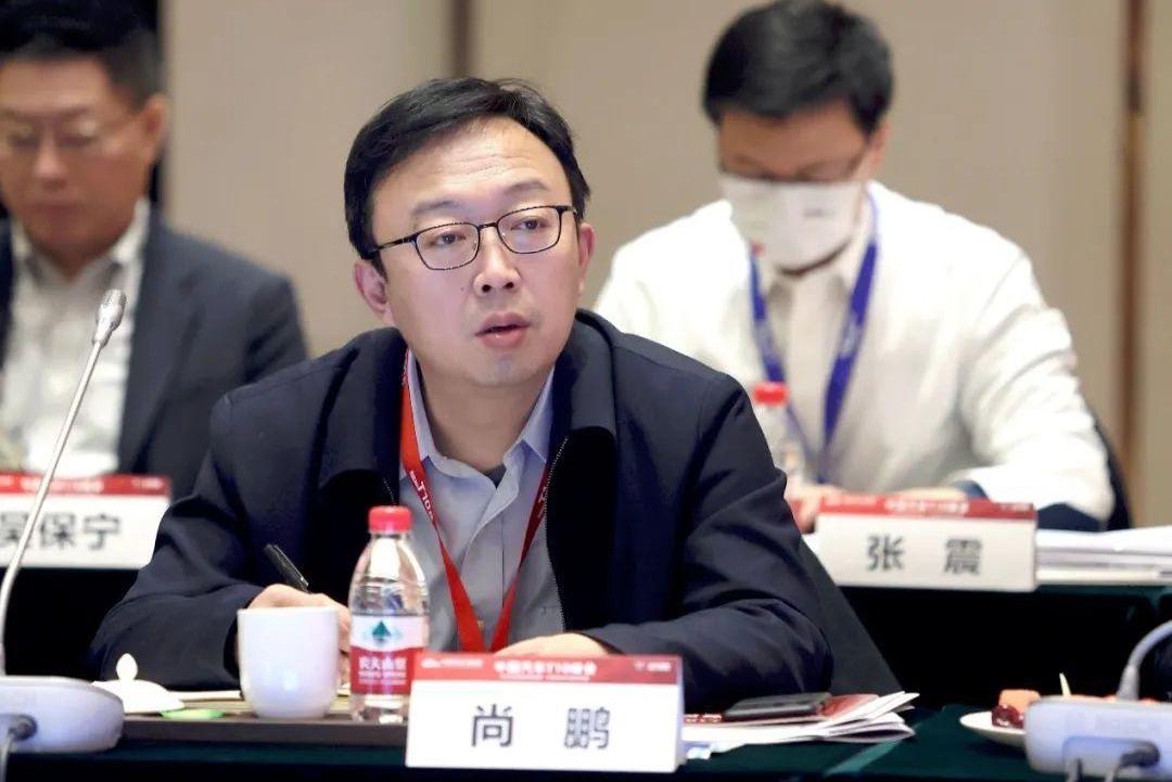 北京,北京汽车,长安,比亚迪,长城