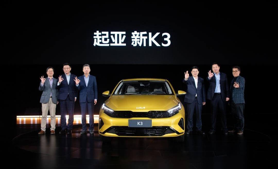 起亚,起亚K3,远程