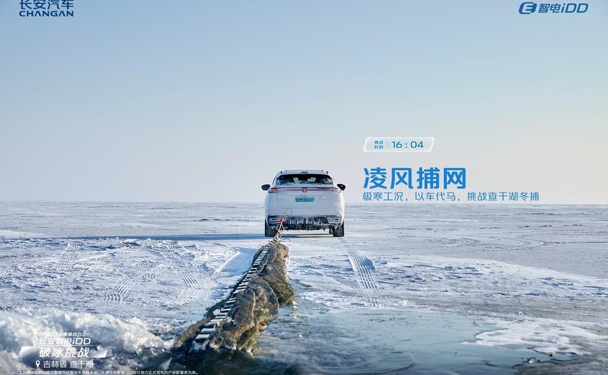 长安,鲸