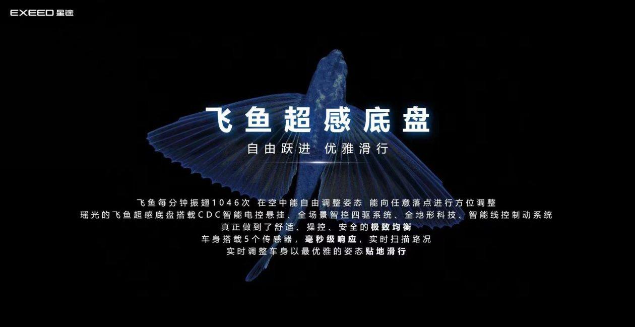 星途,星途瑶光,奇瑞,理念,远程