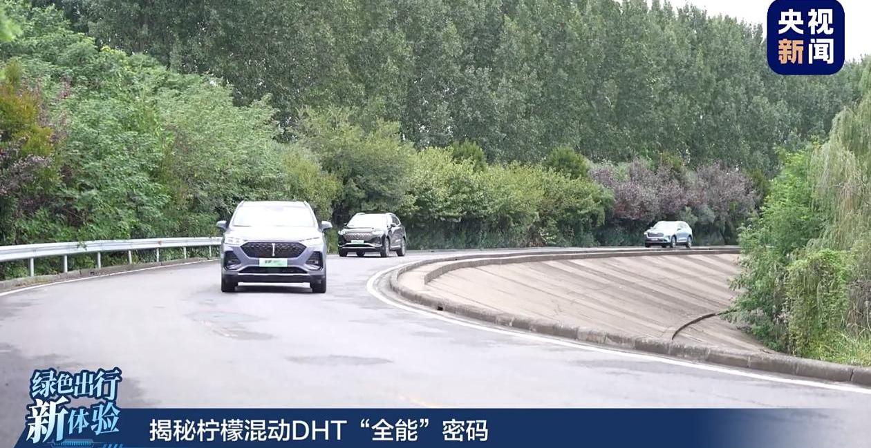 长城,理念,大发,哈弗,魏牌