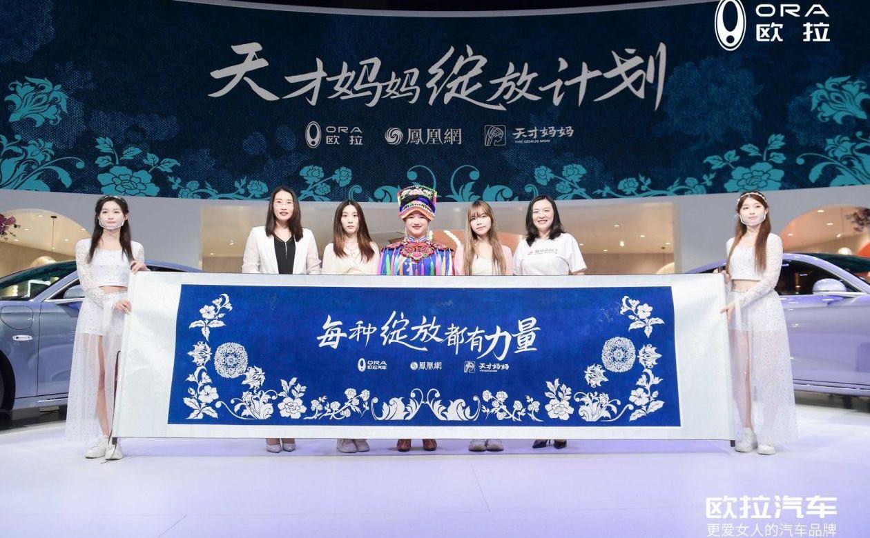 欧拉,理念,欧拉好猫,圆梦