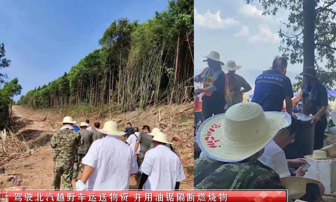 北京,福田,爱驰,图雅诺,长城