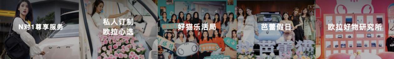 欧拉,欧拉闪电猫,欧拉芭蕾猫,开拓者