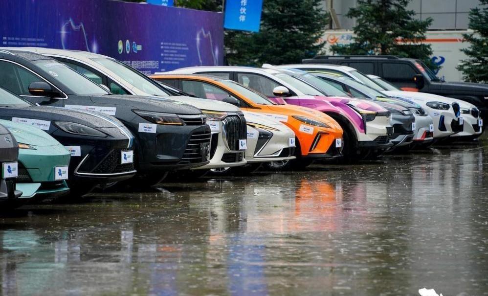 比亚迪,东风,纳米BOX,Model 3,AITO