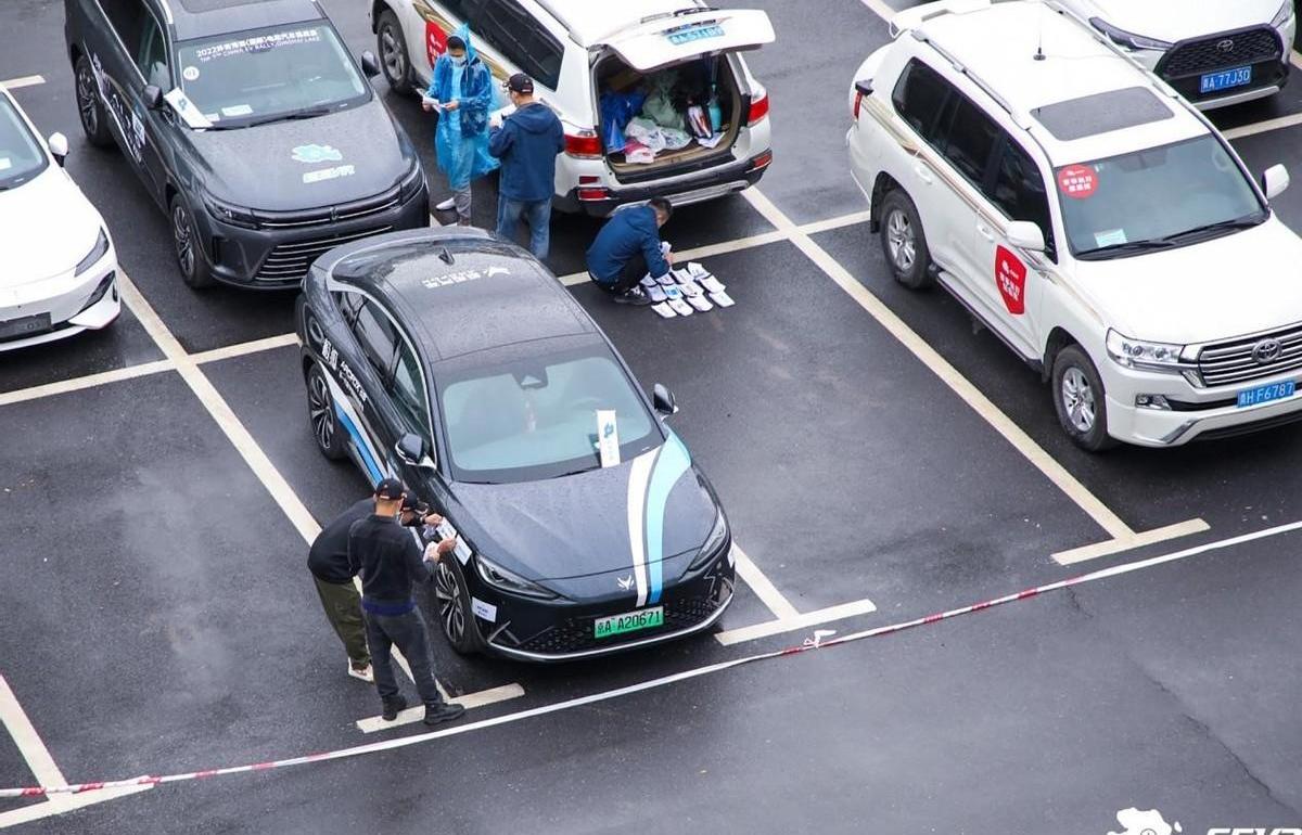 比亚迪,东风,纳米BOX,Model 3,AITO